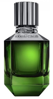 Roberto Cavalli Paradise Found Men Eau de Toilette 75 ml