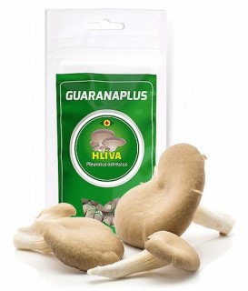 GuaranaPlus Osztrigagomba 100 kapszula